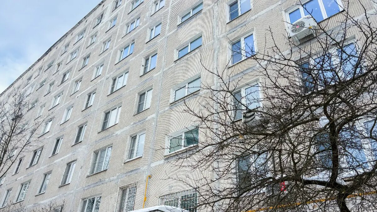    Фото: vm.ru Полина Белоусова