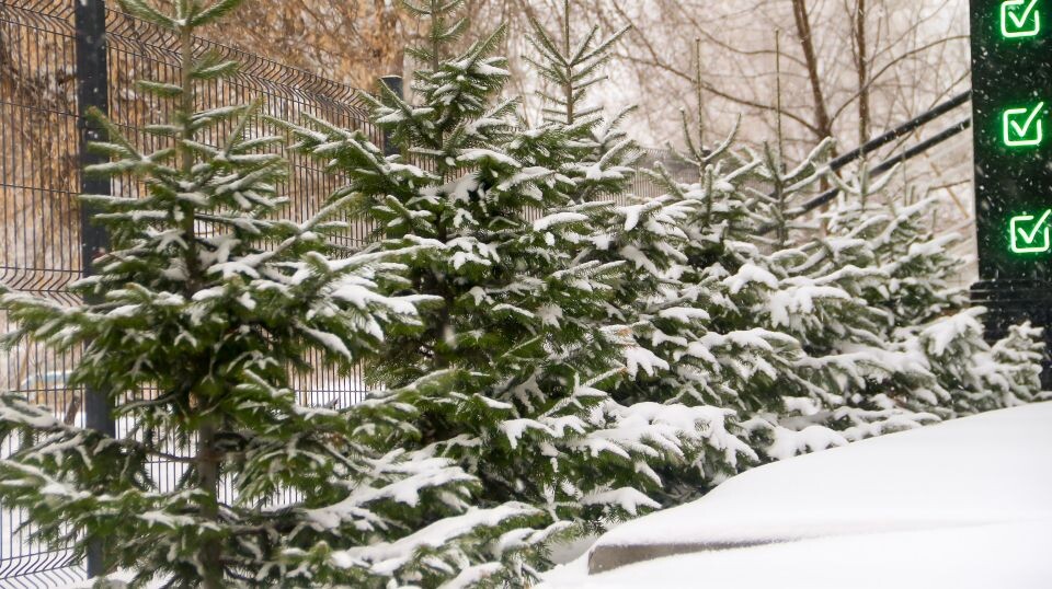    Снег в Барнауле. Зима. Погода.. Источник: Виталий Барабаш