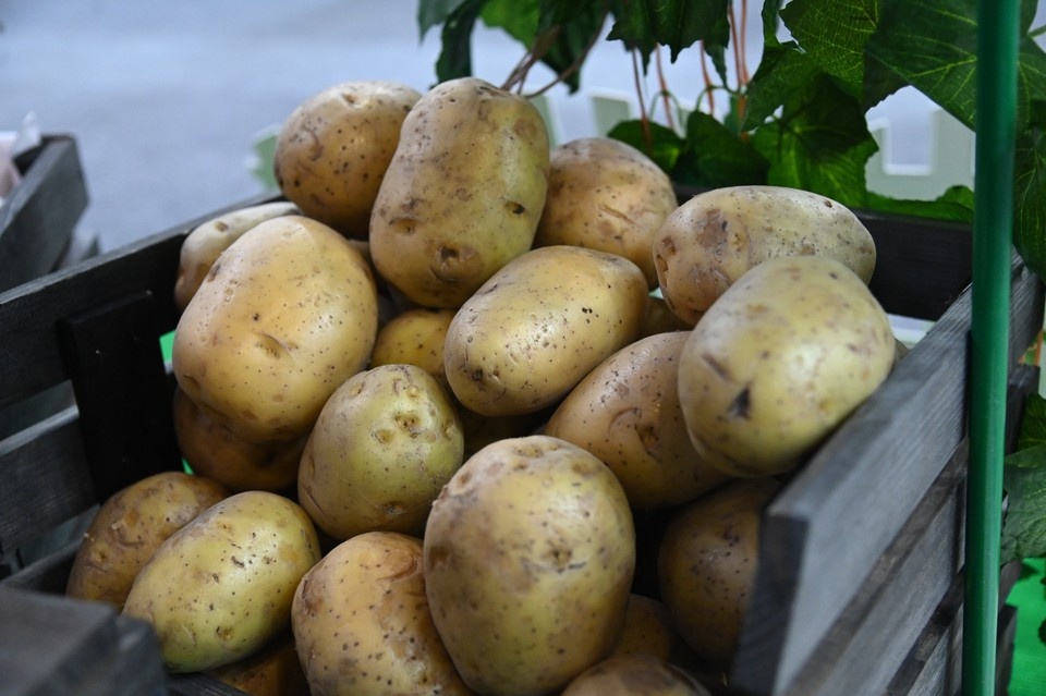    Названо место в мире у РФ по производству картофеля Ольга ЮШКОВА