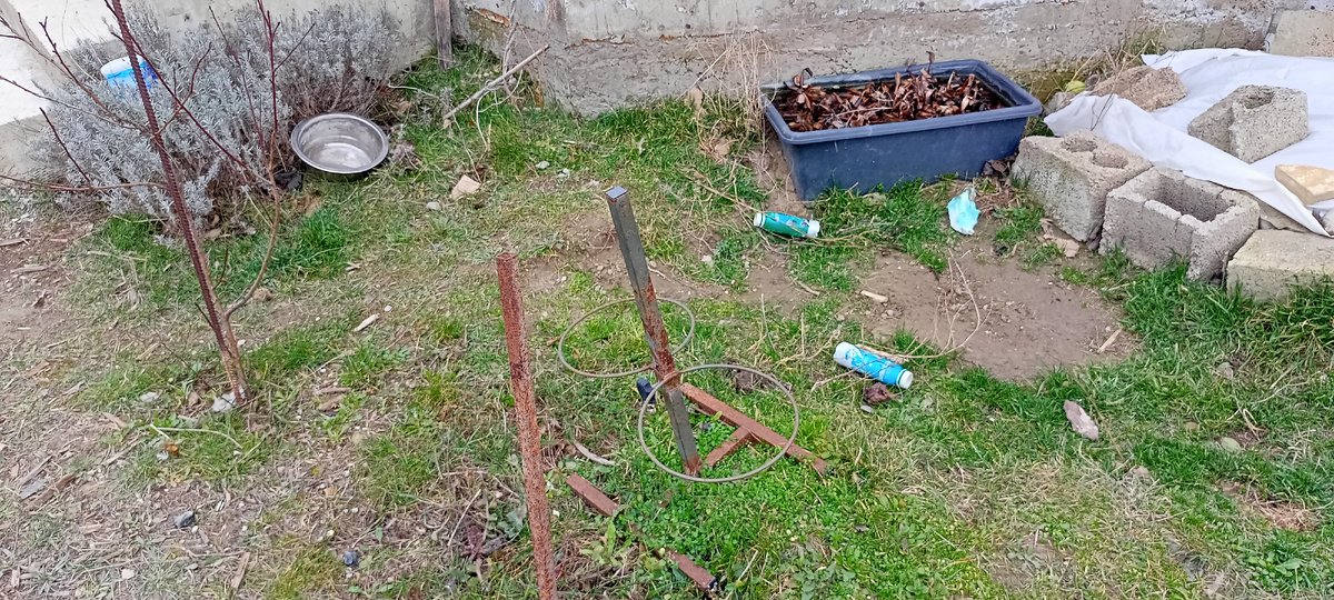 Одна собачья миска в одной стороне