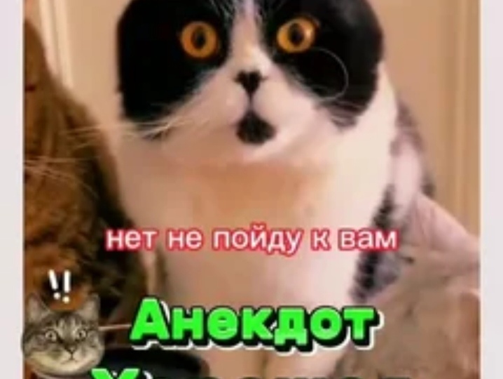 Юмор!Про весну! И зайцы на лужайке!