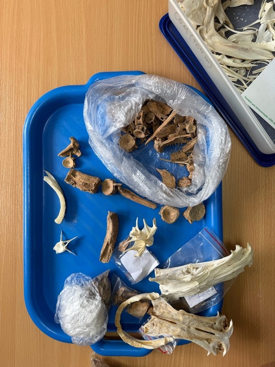    Фото: Минобр