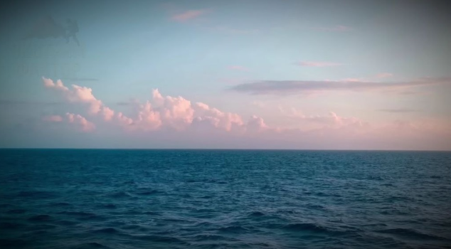 Фото: свободный доступ.