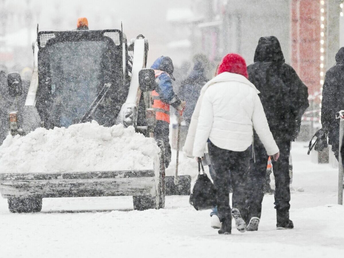    Снегопад в Москве | © РИА Новости / Станислав Красильников