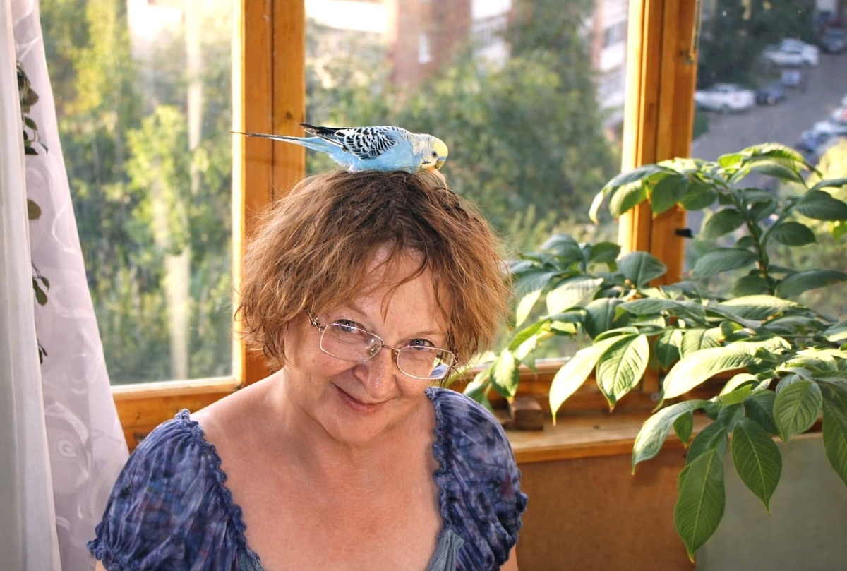 Прилетел. Простил. Сел на голову