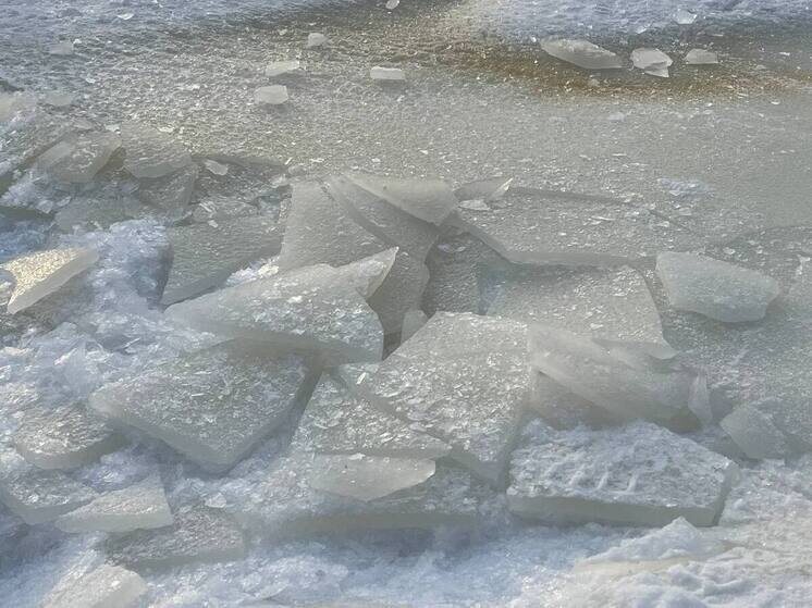     Снимок со спутника, сделанный 14 февраля с помощью прибора VIIRS, показал плотный ледяной покров. Фото: архив МК в Питере.