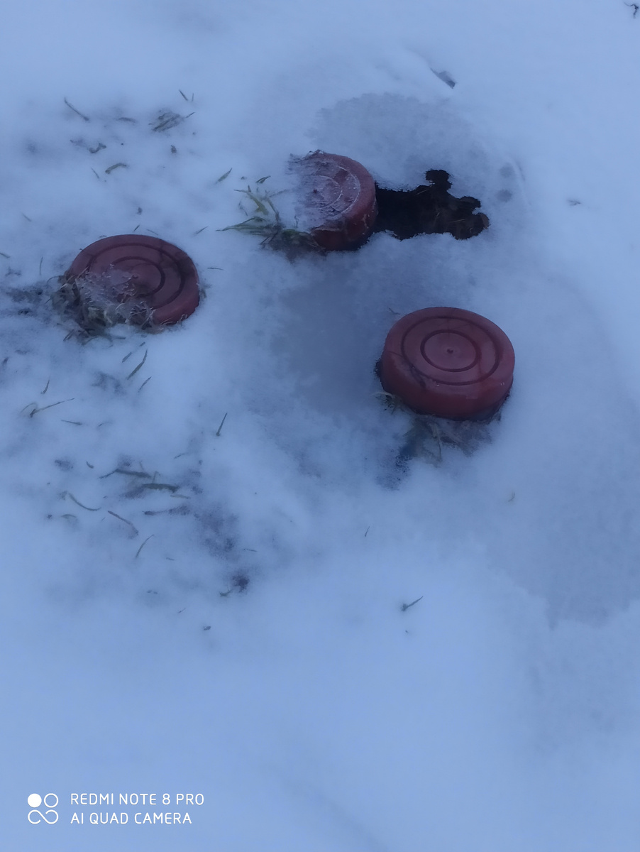 Визуальный намек на Кошкин характер. Поймут сельские жители. Это из-под снега проклюнулись первые трубы септика)