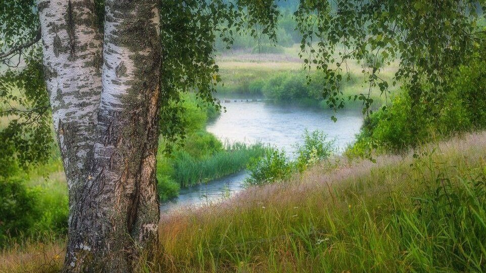 Встреча через годы