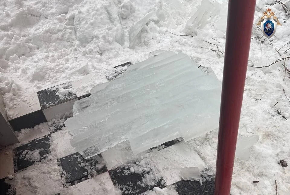 СК России по Нижегородской области