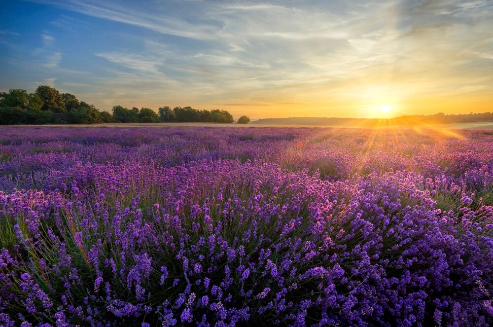    Фото: istockphoto.com