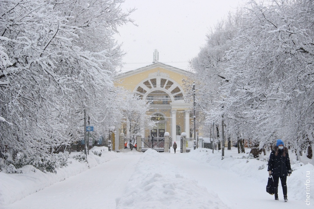    С 19 по 21 февраля в кинотеатре "Комсомолец" пройдут показы фильмов Арктического кинофестиваля "Золотой ворон"