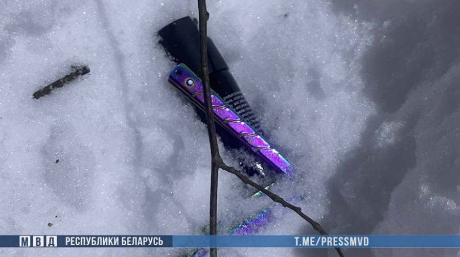     Вооруженный налет под Смолевичами: подробности задержания по горячим следам