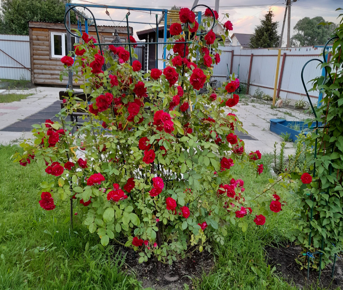 Фото автора 