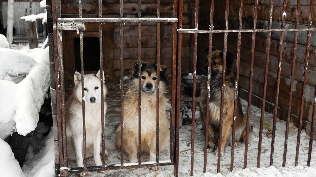   vk.com/smertniki_bereg_krsk