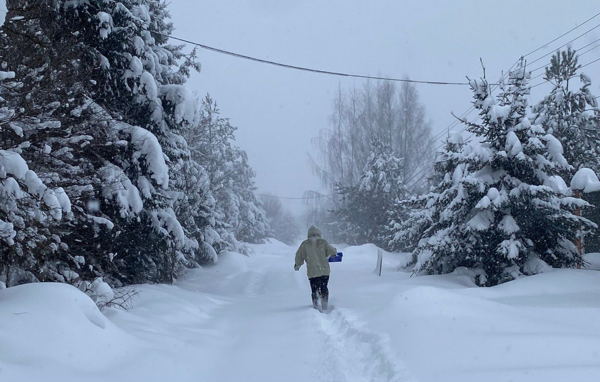     Даниил Князев/«Постньюс»