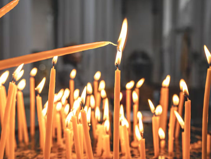 Фото: freepik.com