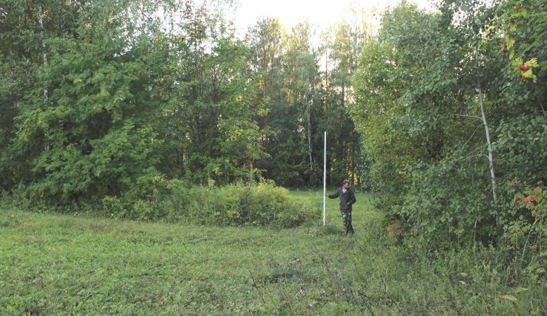    Пармайлово I, городище. Площадка и вал / © Леонид Половников, Пресс-служба ПНИПУ