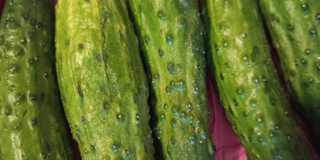 Новости, снова одна останусь.