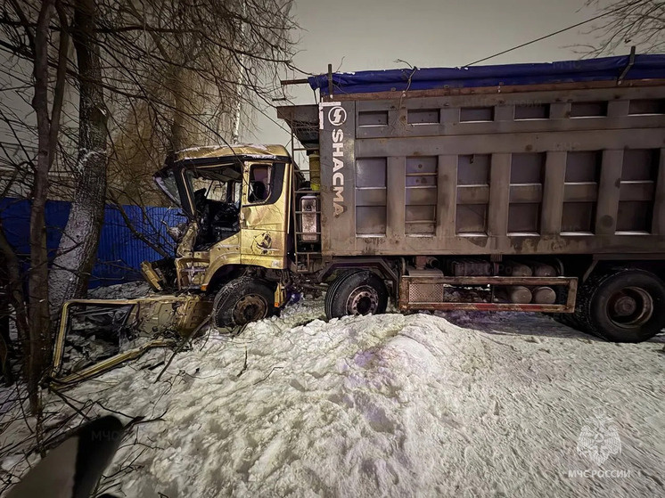     фото: пресс-служба мчс по брянской области