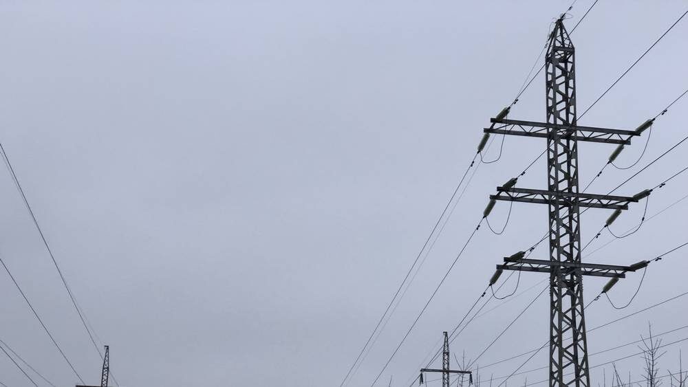    Фото: «Брянские новости»