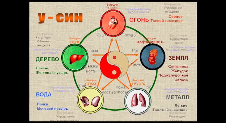 Изображение взято в интрнет