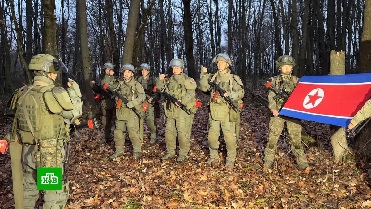    Саперы из КНДР помогают очищать от мин Курскую область