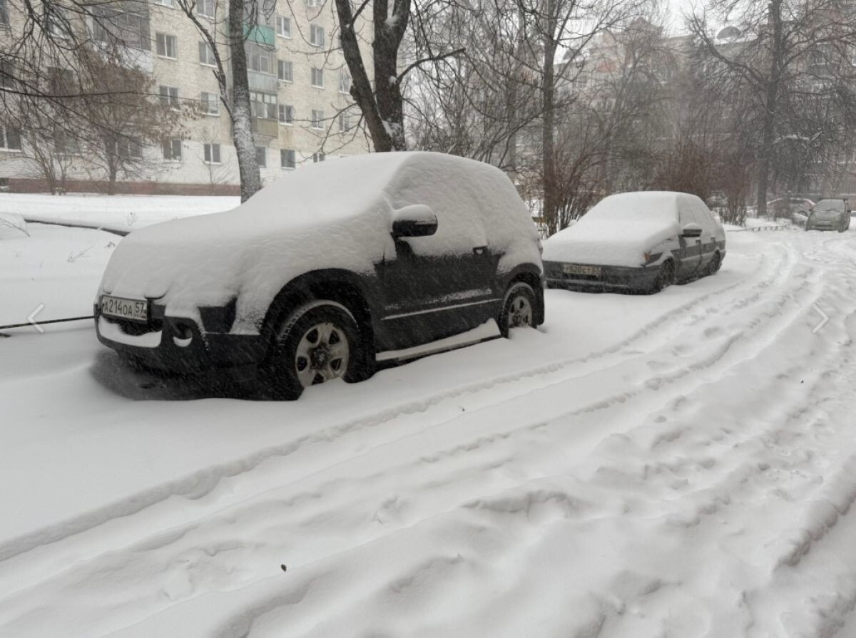 Листайте вправо, чтобы увидеть больше изображений
