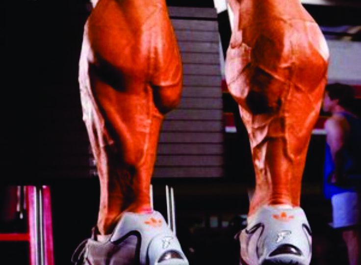 Тренировка икр. Как добиться результата.