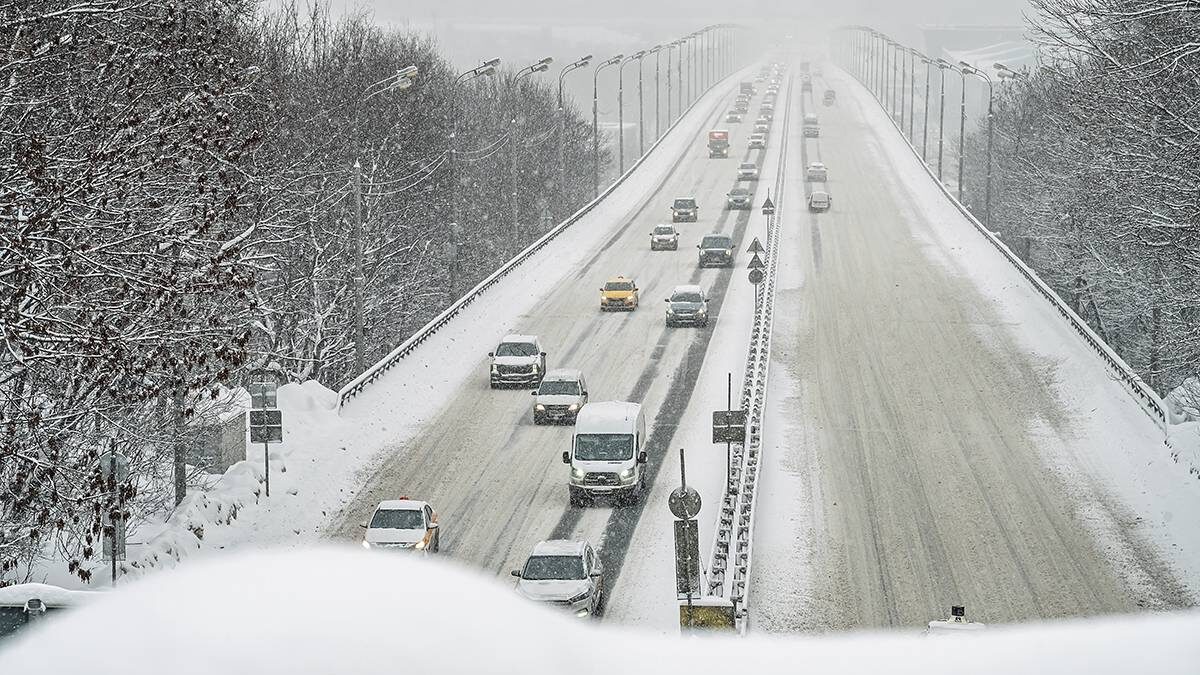    Фото: Дмитрий Дубинский / Вечерняя Москва