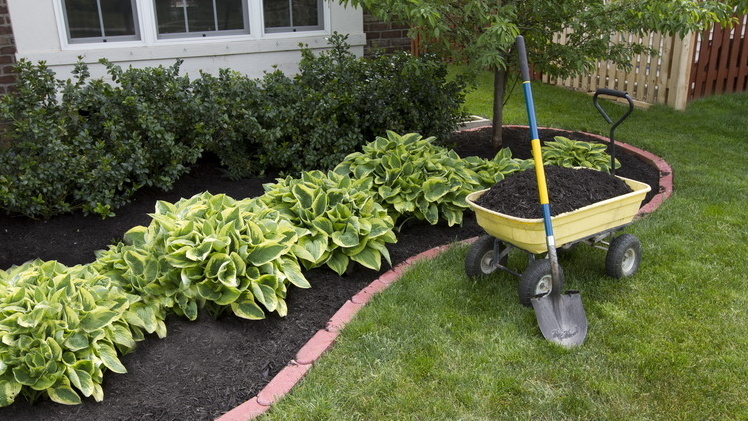 Мой участок до изменений - красивый, но съедал все свободное время