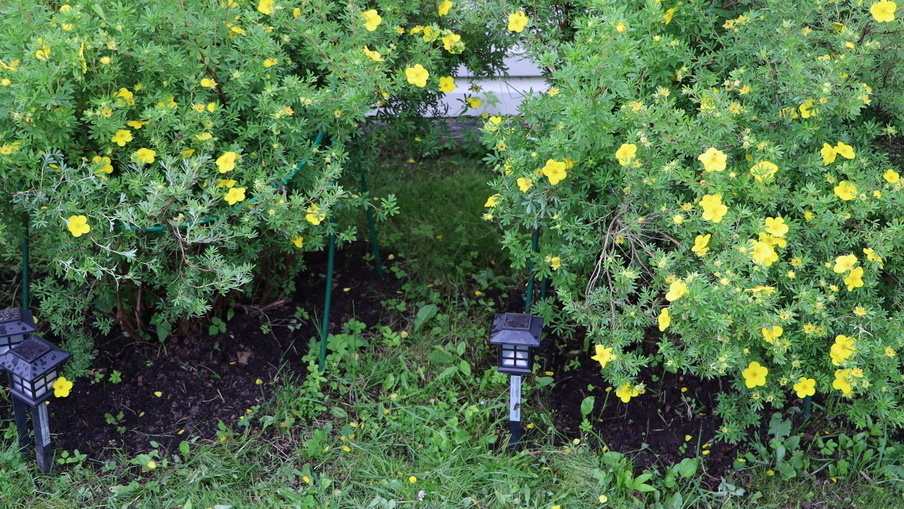 Правильная планировка экономит годы переделок