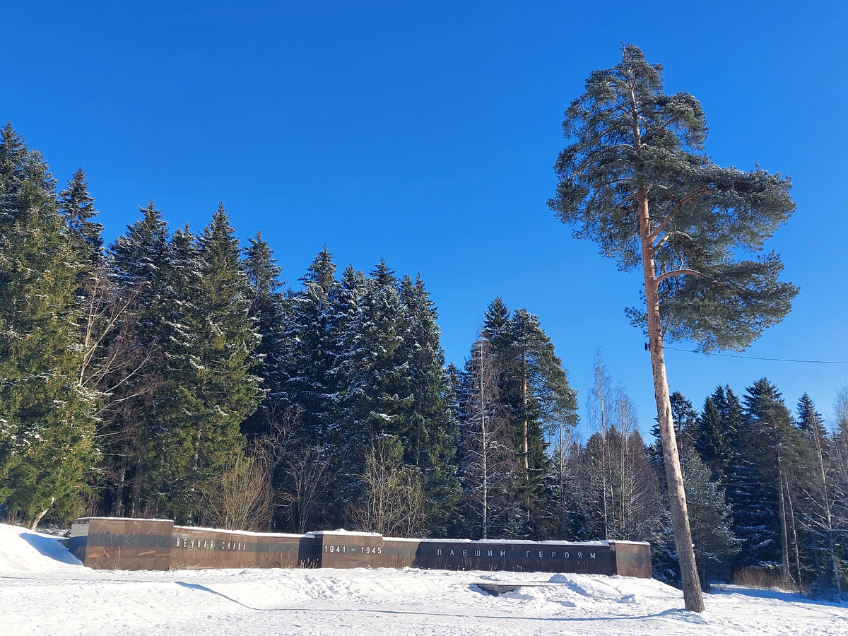 Морозно, но красиво...