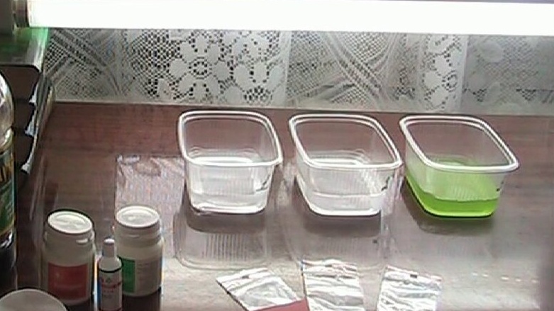 Взял 3 банки с разными растворами для всхожести. Аптечный препарат выиграл