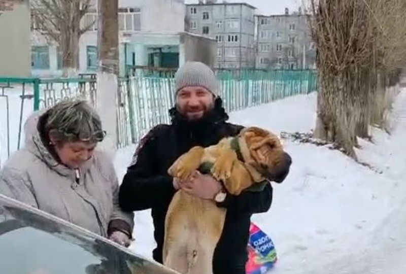 Жители Майского спасли шарпея по имени Джамбо, который полтора месяца скитался по поселку