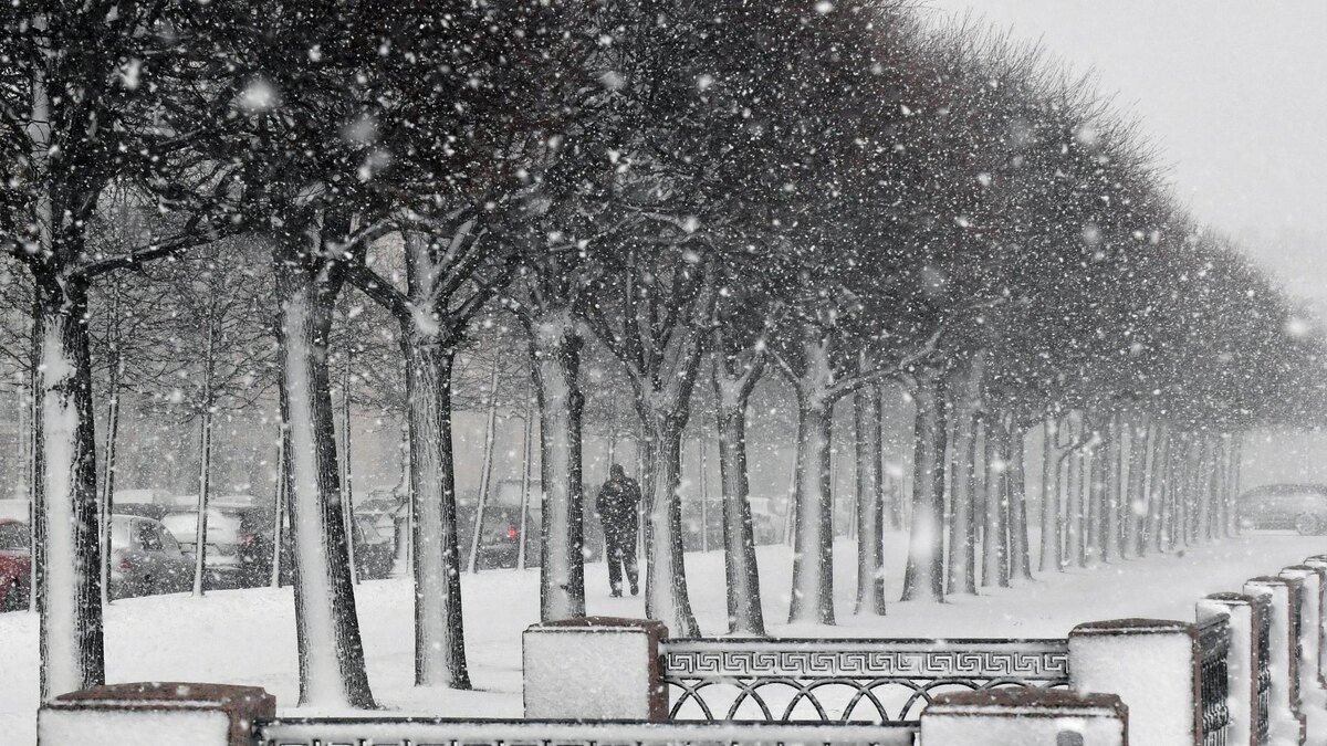    Фото: ИЗВЕСТИЯ/Семен Орлов