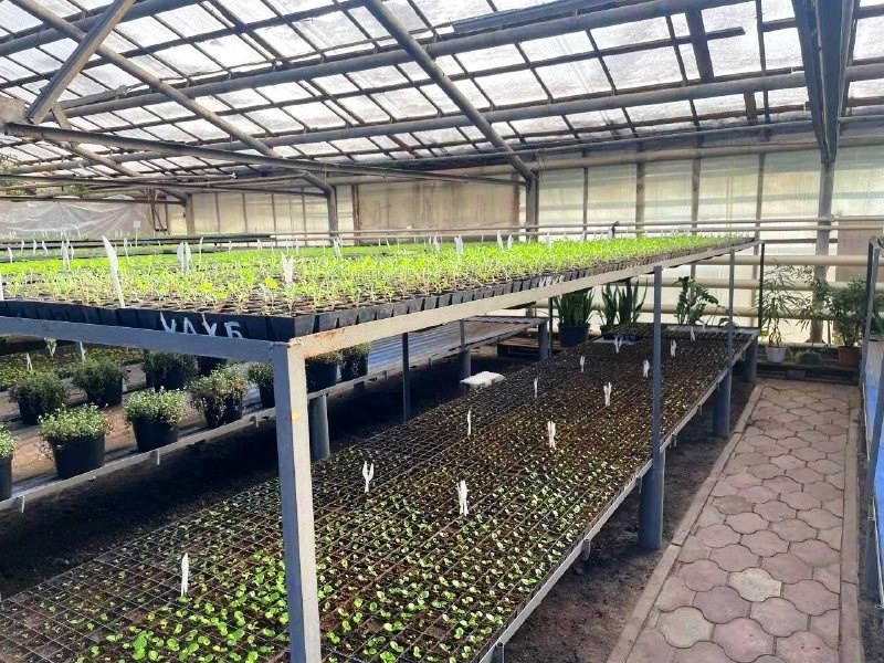 Фото: тг-канал мэра Омска Сергея Шелеста