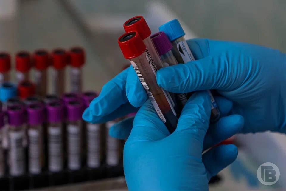    Фото: Дмитрий Рогулин / "Городские вести"