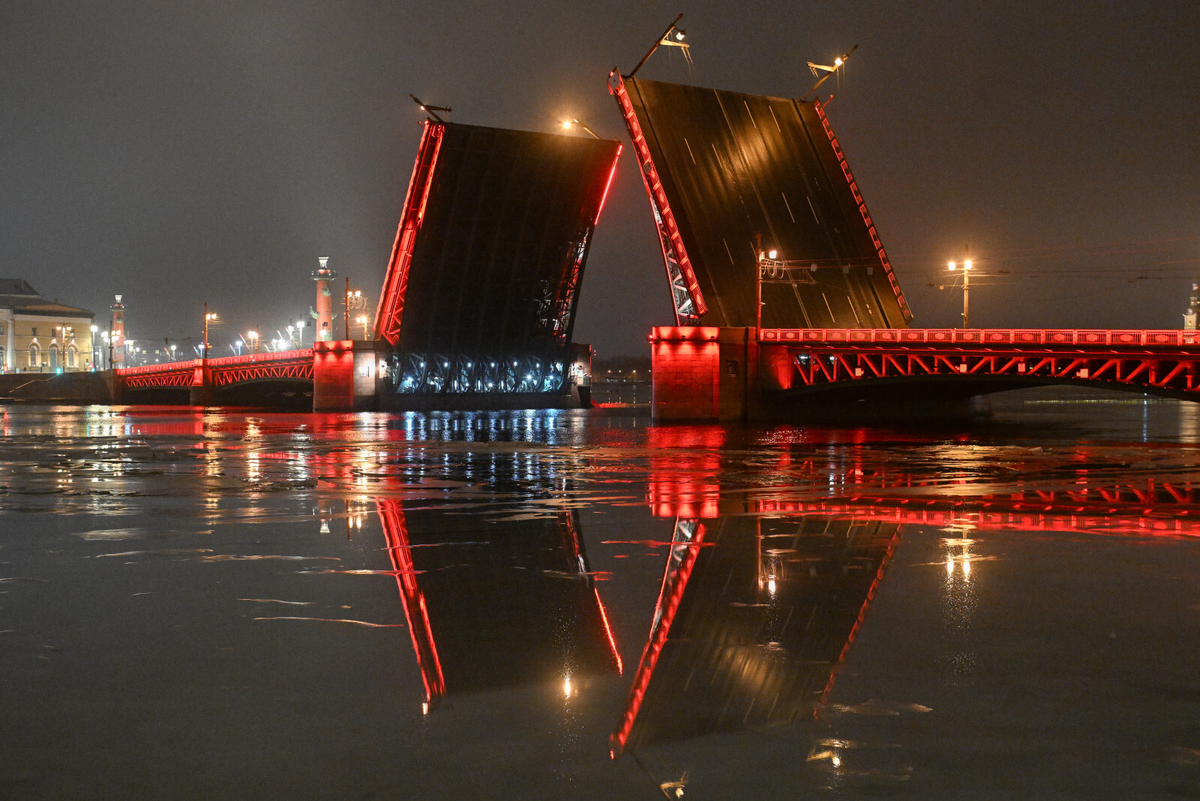 Фото: Александр Гальперин / «Петербургский дневник»
