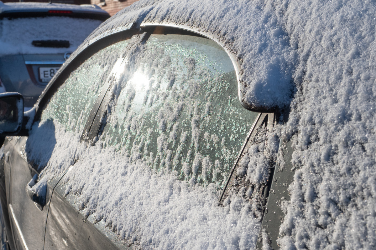Фото: Олег Золото / «Вечерний Санкт-Петербург»