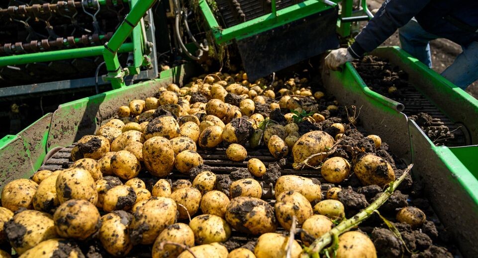    Медиасток.рф