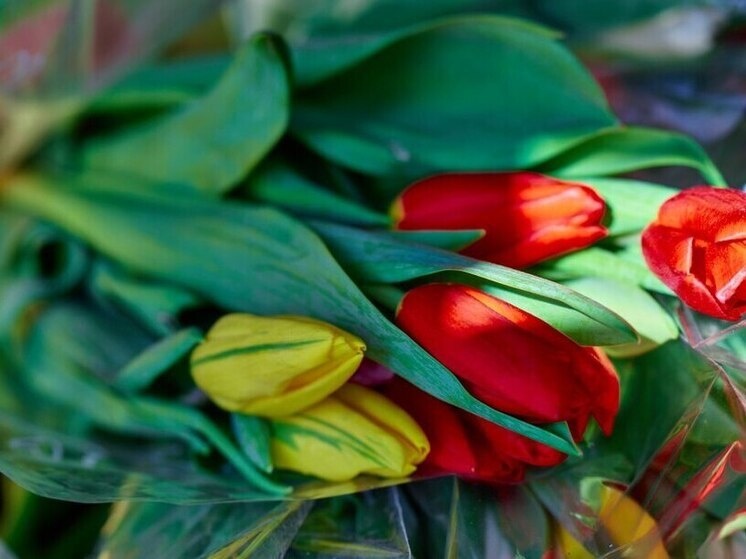     Торговля к 8 марта: Успейте занять место для продажи цветов до 24 февраля. фото: мэрия владивостока