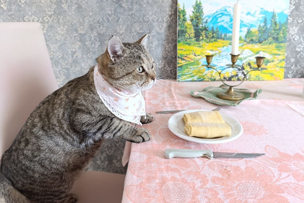    Фото: Светлана Соснина