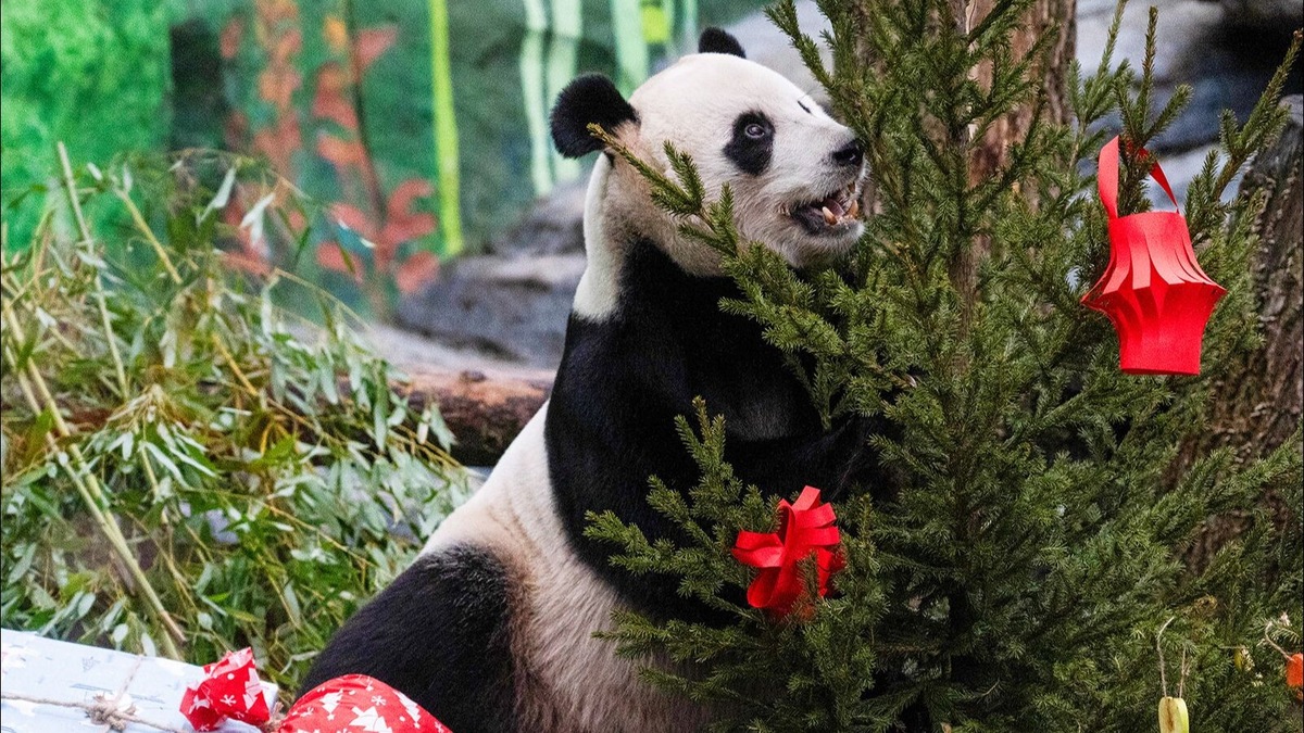    Источник: Пресс-служба Департамента культуры города Москвы