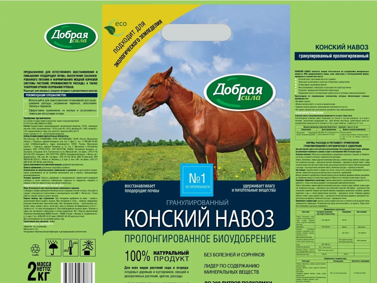 Яндекс. Картинки