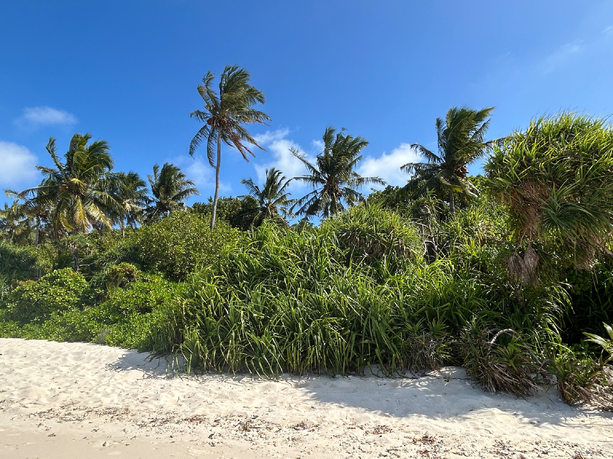 А это уже океанский берег по соседству с бикини-пляжем. Фото автора