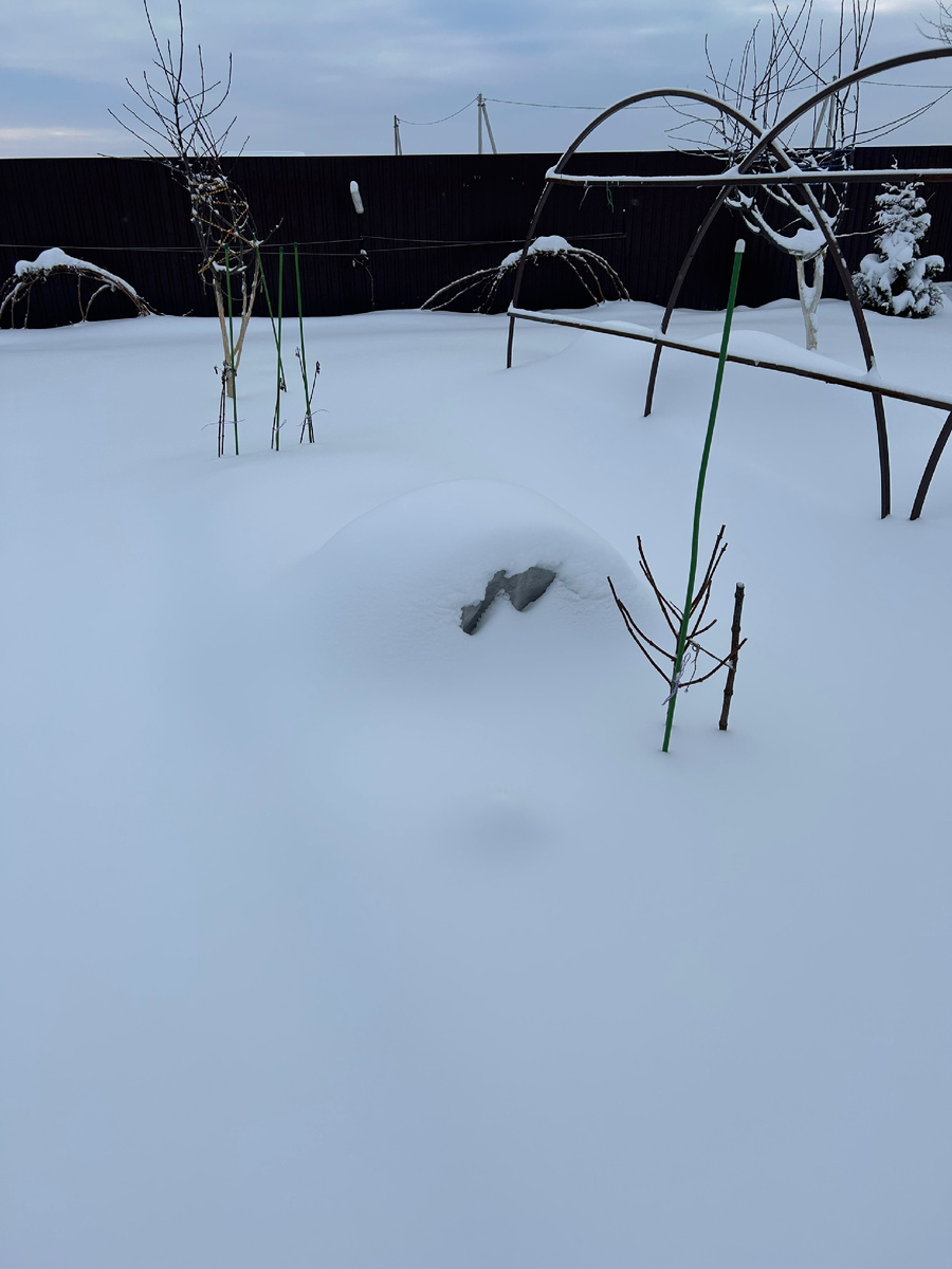 Мечта Лесково, укрытая в прикопе