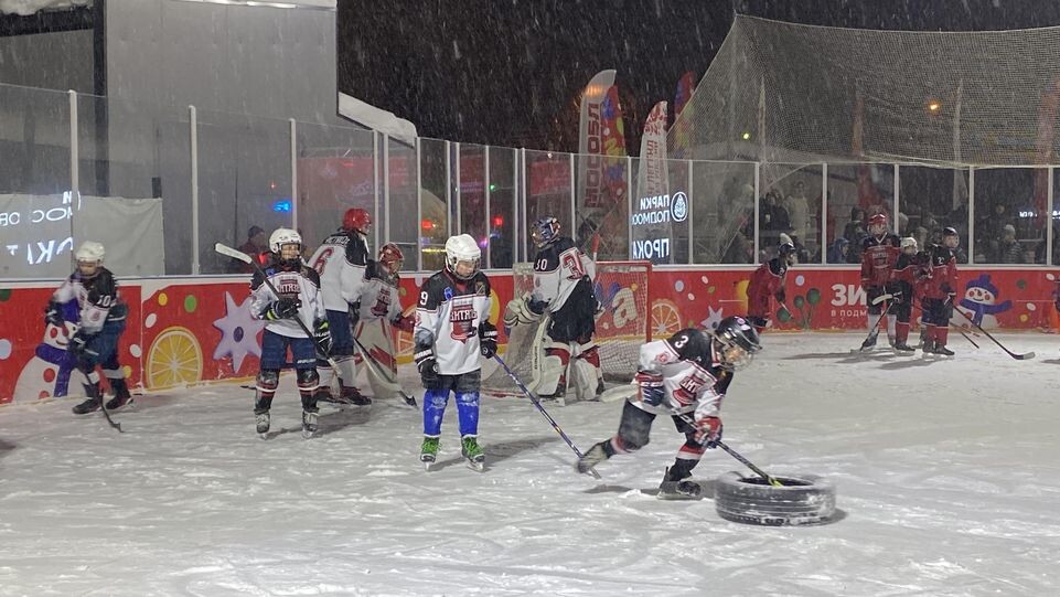    Анна Артюшина