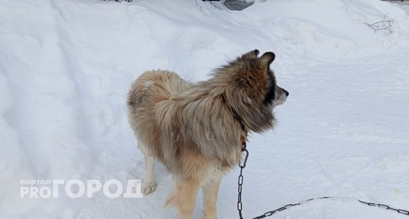    Фото "Про Город"