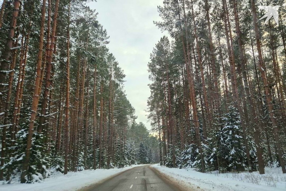    В Минском районе в лесу потерялись женщина с маленьким ребенком. Фото используется в качестве иллюстрации: архив «КП».