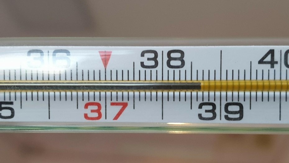 Автор фото: Михаил Тихонов / "ДП"